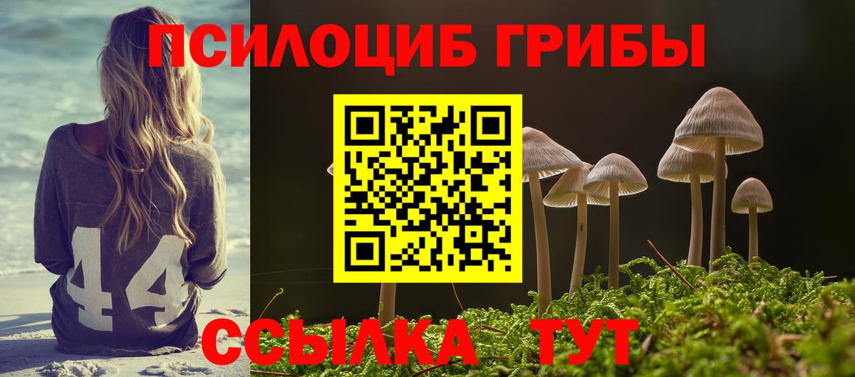 Галлюциногенные грибы прущие грибы Лосино-Петровский